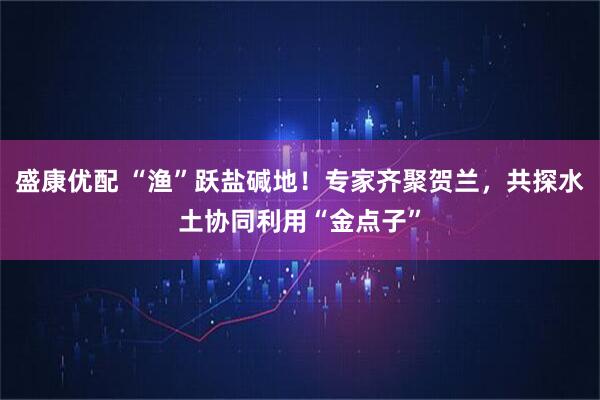 盛康优配 “渔”跃盐碱地!专家齐聚贺兰,共探水土协同利用“金点子”